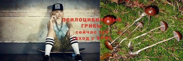 спиды Нефтегорск